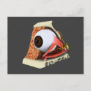 Buscar anatomía humana postales Visión