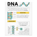 Buscar educativos posters Estudiante