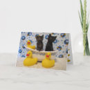 Buscar mascota enfermo tarjetas Felino