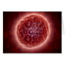 Buscar embrión postales Ciencia