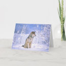 Buscar lupus tarjetas Lupus de canis