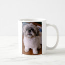 Buscar shih tzu tazas Lindo
