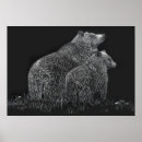 Buscar osos negros posters Para todos