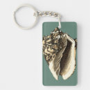Buscar seashells accesorios Playa