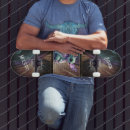 Buscar castillo tablas de skate Animal