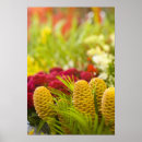 Buscar frutas y verduras posters Rojo