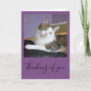 Buscar gato de tabby tarjetas Gatito