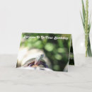 Buscar tortuga divertida tarjetas Para todos