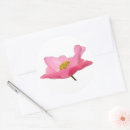 Buscar amapola pegatinas Invitados