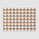 Buscar smores Chocolate
