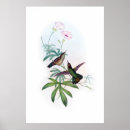 Buscar pájaro azul posters Para ellos