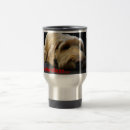 Buscar goldendoodle tazas Perros