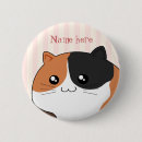 Buscar gato de calicó pins Lindo