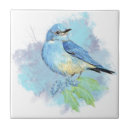 Buscar pajarita azulejos Pajarito