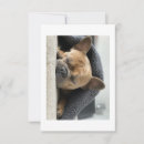Buscar bulldog francés tarjetas Lindo