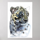 Buscar pardus posters Cara