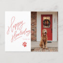 Buscar dog fotograficas tarjetas Para mascotas