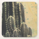 Buscar cactus posavasos Planta