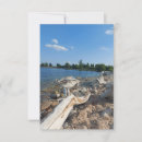 Buscar polluelo joven postales Lindo