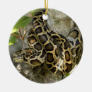 Buscar python adornos Reptil