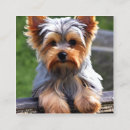 Buscar yorkie tarjetas de visita Para todos