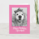 Buscar golden retriever feliz tarjetas Adorable