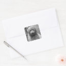 Buscar goldendoodle pegatinas Animal