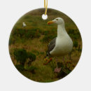 Buscar gaviotas adornos Vida silvestre