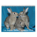 Buscar conejo calendarios Rescate