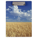 Buscar campo de trigo libretas Pradera