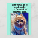 Buscar perro pomeranian postales Para ella