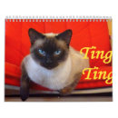 Buscar tintín Gatito