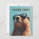 Buscar marmota tarjetas Vida silvestre