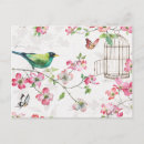 Buscar jaula de pájaros postales Flores