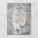 Buscar strix Naturaleza