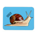 Buscar caracol imanes Gastropodo