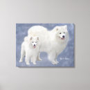 Buscar samoyed arte Para todos