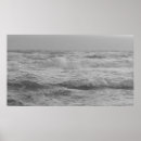 Buscar ondas fotografía Florida