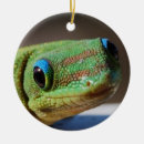 Buscar reptil adornos Gecko