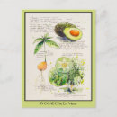 Buscar illustration postales Botanical