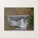 Buscar bosque puzzles Colorido