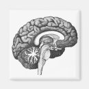 Buscar cerebros imanes Medicina