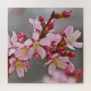Buscar flor de cerezo japonesa puzzles Sakura