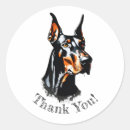 Buscar doberman pegatinas Cachorro