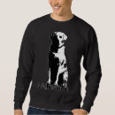 Buscar labbies Labrador
