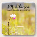 Buscar volcanes posavasos Hawaii