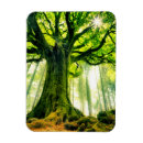 Buscar francia imanes Naturaleza