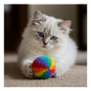 Buscar gatos caprichosos posters Amante de los gatos