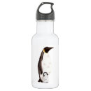 Buscar pingüino lindo agua botellas Naturaleza