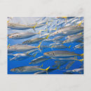 Buscar conformidad postales Vida silvestre